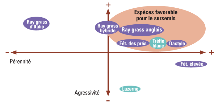 especes favorables pour le sursemis