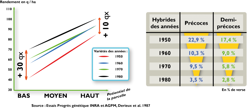 graghique_tableau_progres_genetique_mais_web