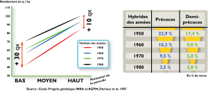 graghique tableau progres genetique mais web