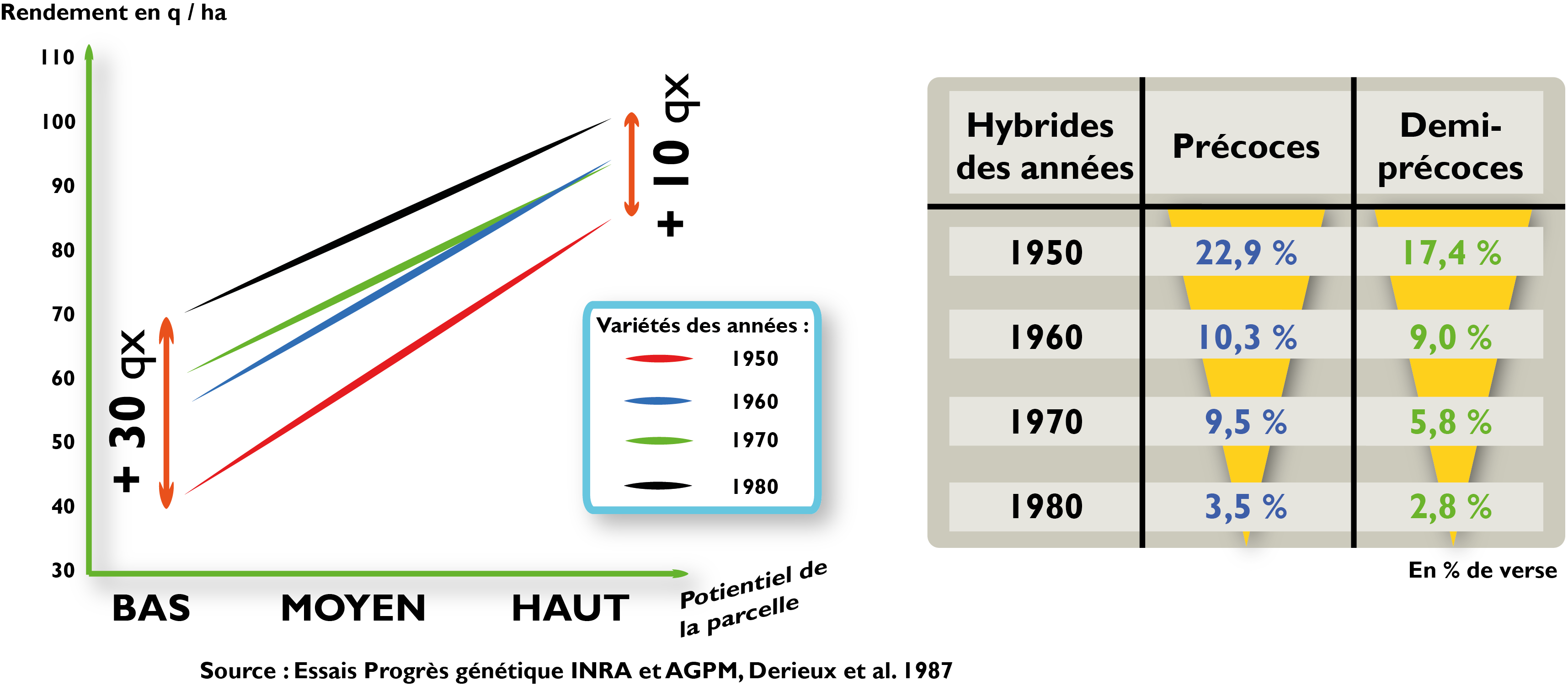 graghique tableau progres genetique mais web