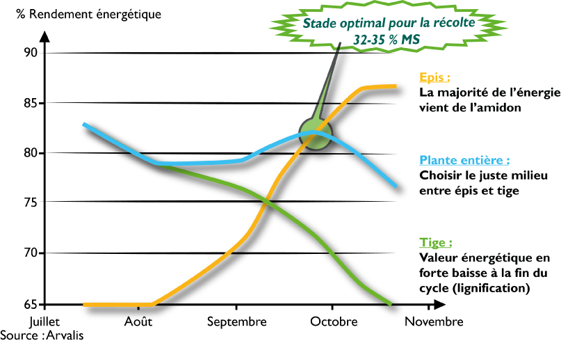 graphique date de recolte web