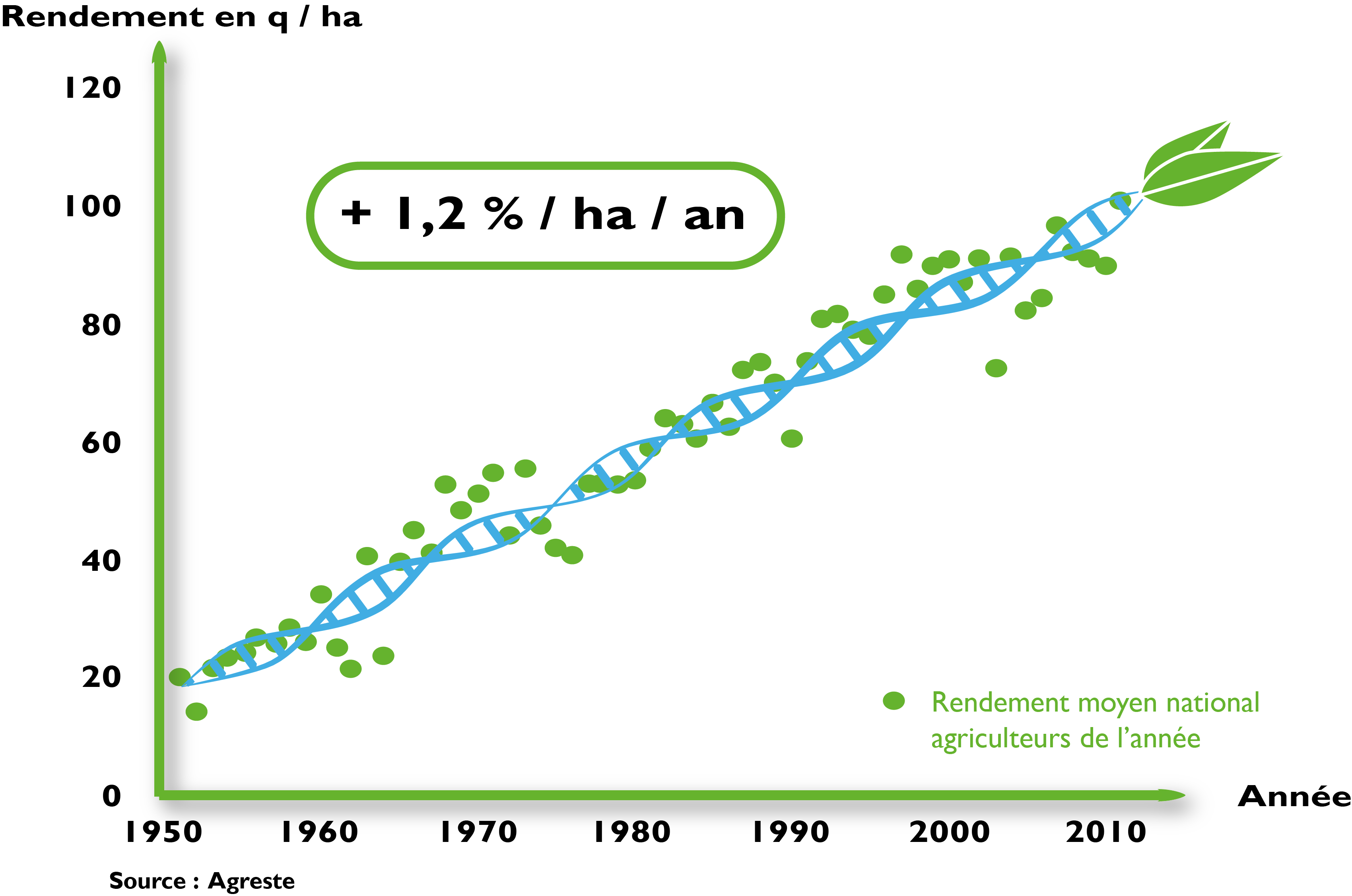 graphique progre genetique mais web