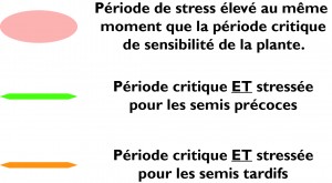 legende_methode_esquive_schema_semis_precoces