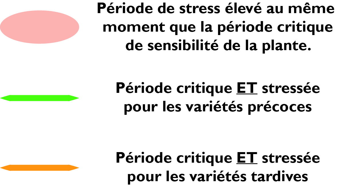 legende methode esquive schema varietes precoces