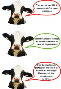 prevision date de recolte point de vue de la vache web