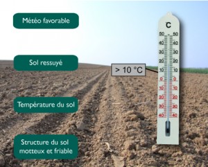 semences de france date semis conditions