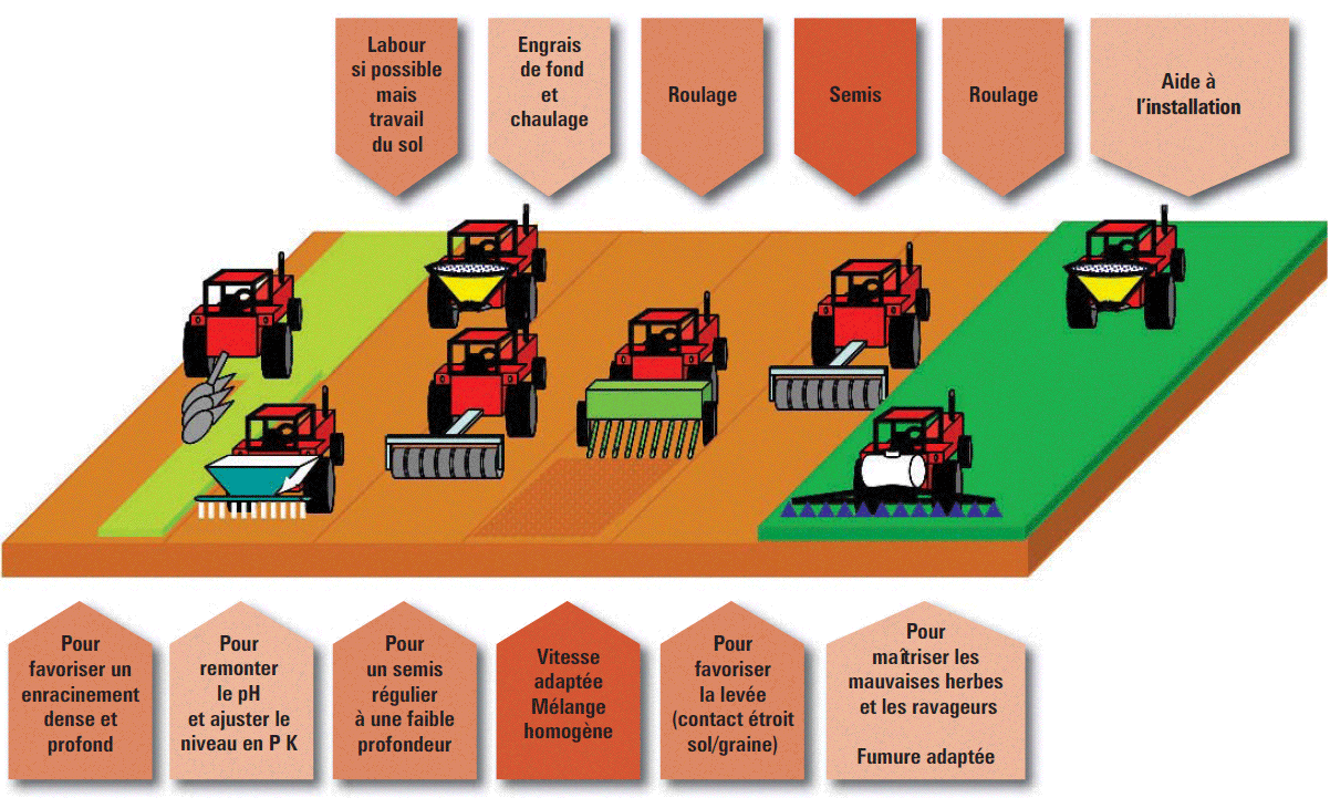 semis illustration