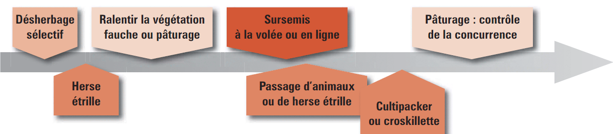 tableau semis