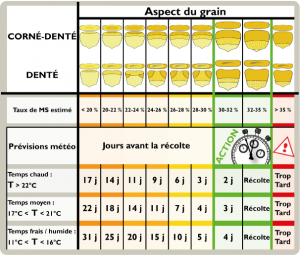 tableau date de recolte web