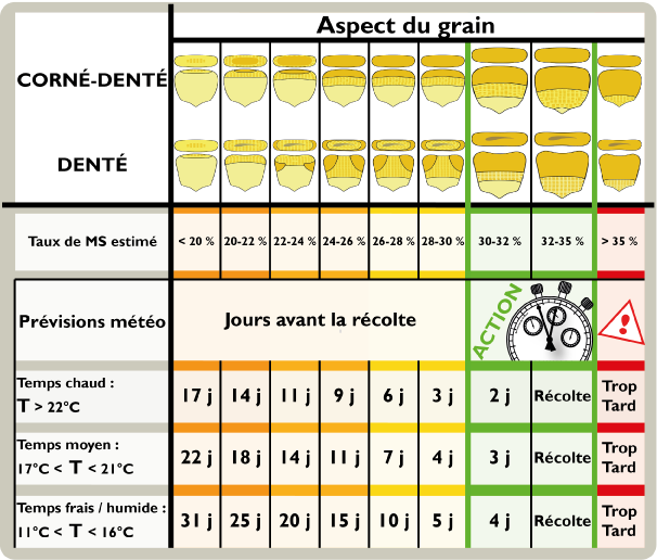 tableau date de recolte web