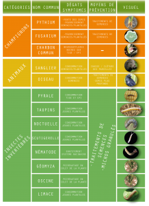 tableau ravageurs mais web