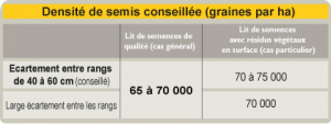 tournesol tableau densite semis