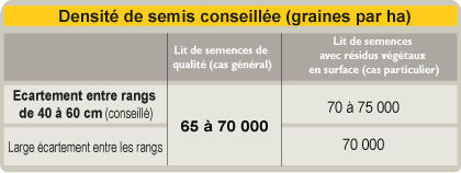 tournesol tableau densite semis