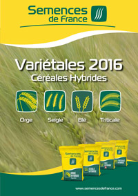 VARIETALES CEREALES hybride mars  bdef