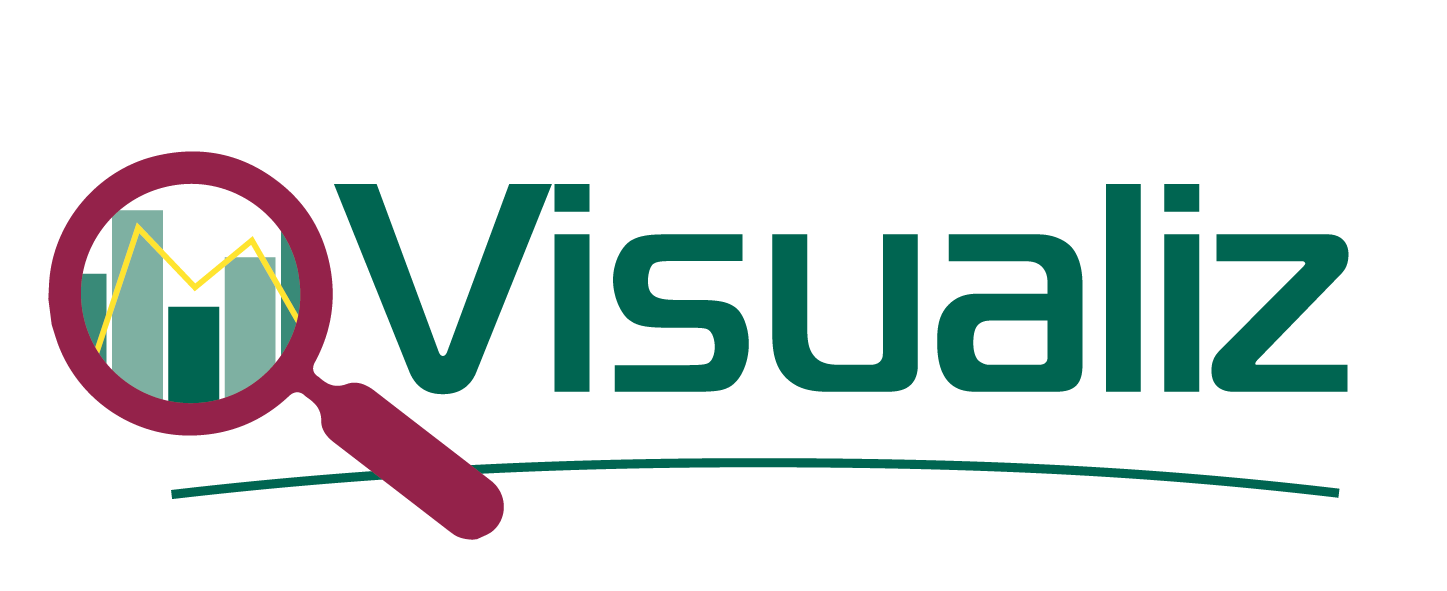 logo_visualiz