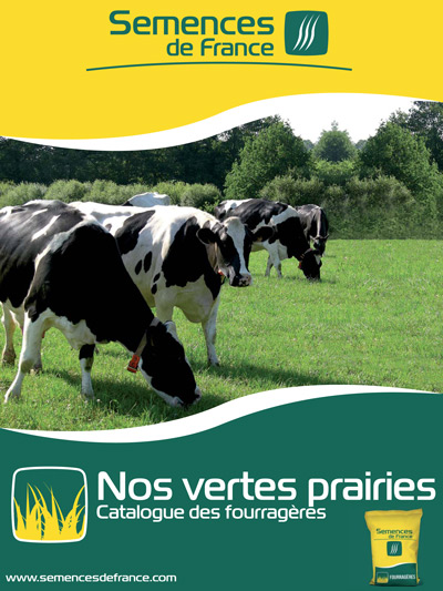 vertes prairies