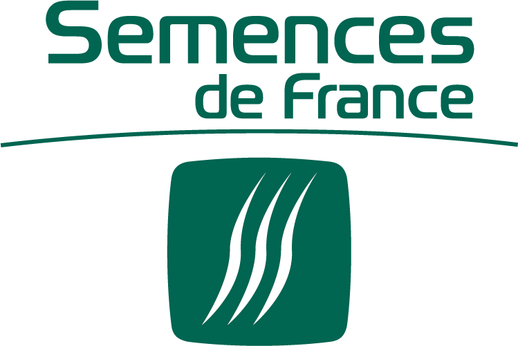 Logo SF vertical