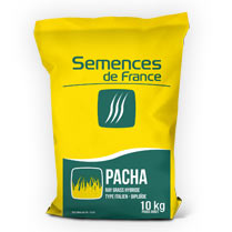 sac sdf pacha