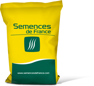 sac SF neutre