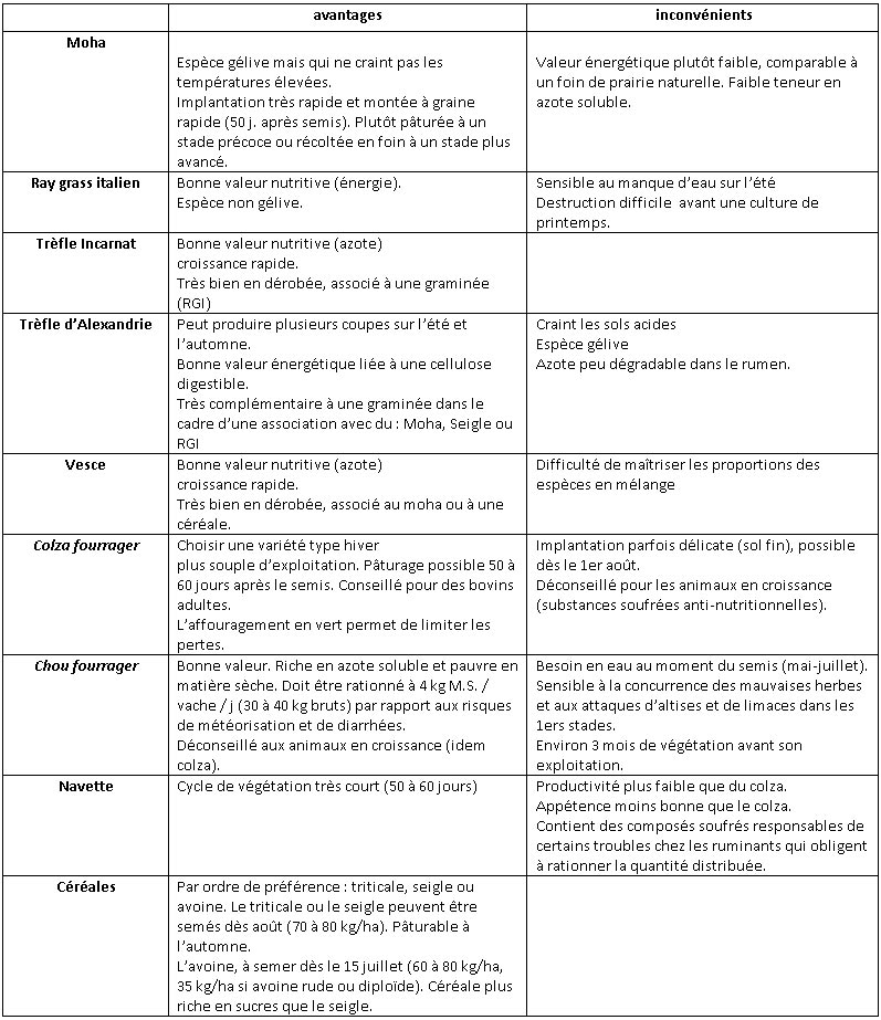 Avantages et inconvénients de différentes espèces de cultures à semer en dérobée