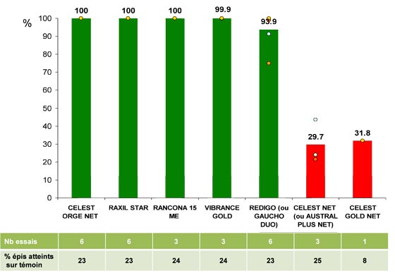 efficacitédifférentstraitements de semences charbon nu de l orge