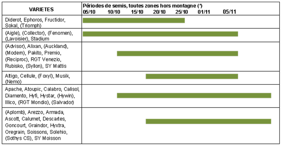 semis auvergne