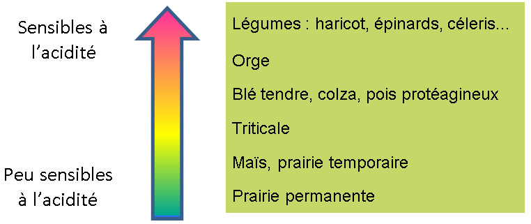 fig fiche