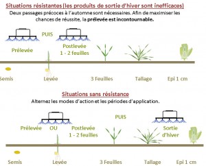 situation resistante