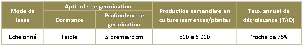 caracteritique des semences