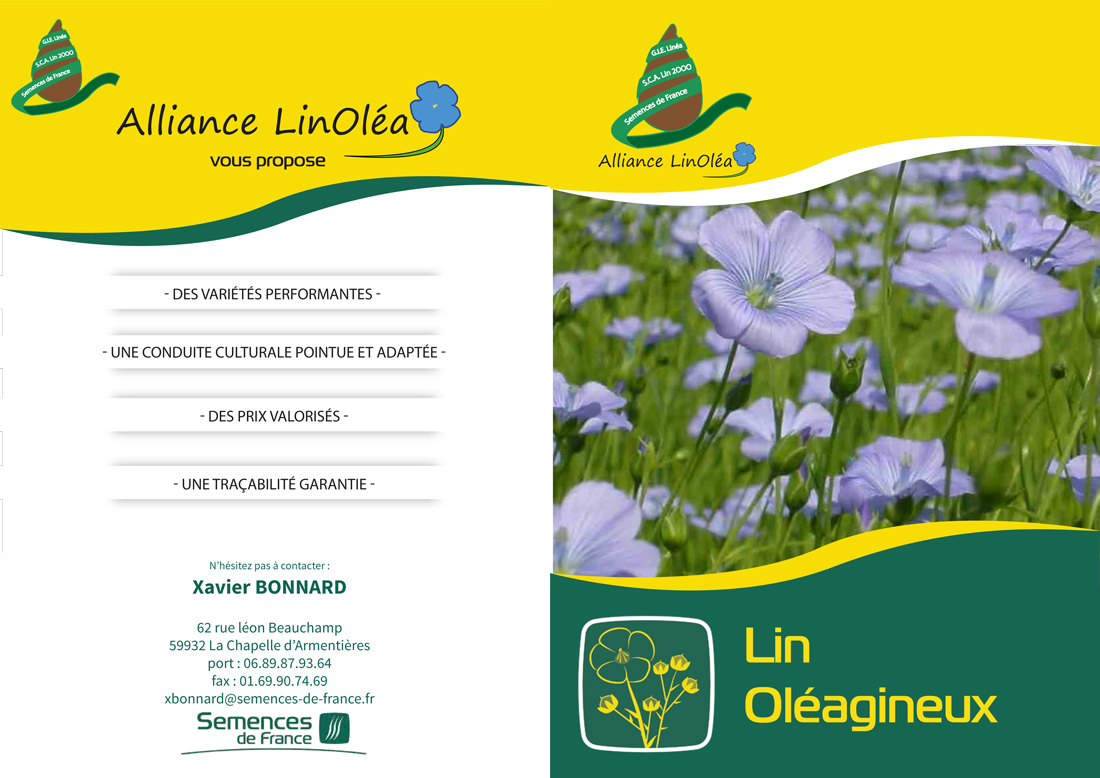 plaquette alliance linolea lin capp octobre  bdef