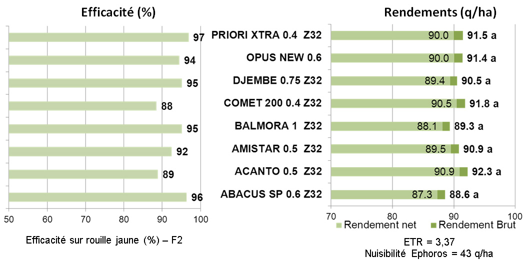 resultat efficacité