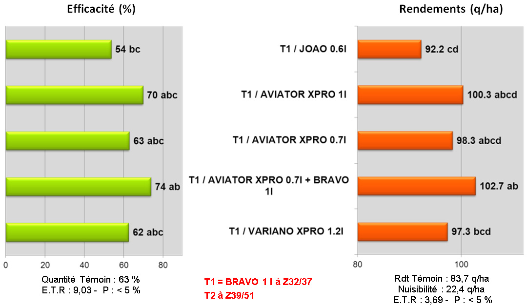 efficatié et rendement stade