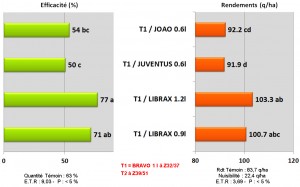comparaisondifferentsT