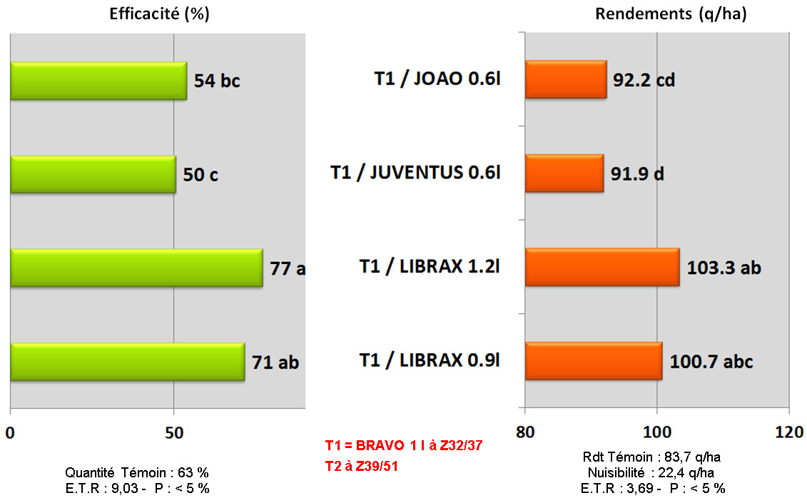 comparaisondifferentsT