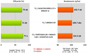 differents stades