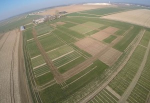 milly photo drone