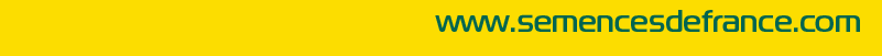 resultats mais newsletter bas