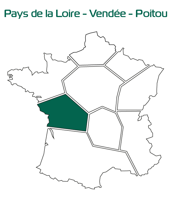 resultats mais regions PLVP