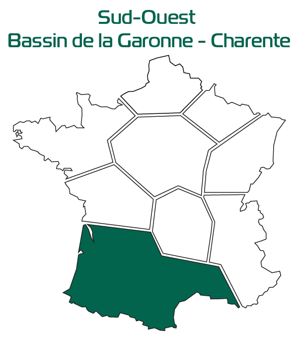 resultats mais regions SOBGC