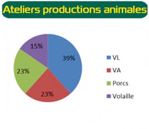 atelier production animale