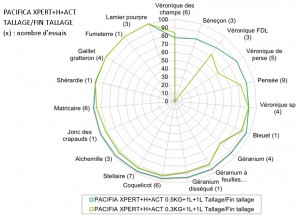 Cliquez sur l'image pour l'agrandir