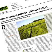 agro distribution