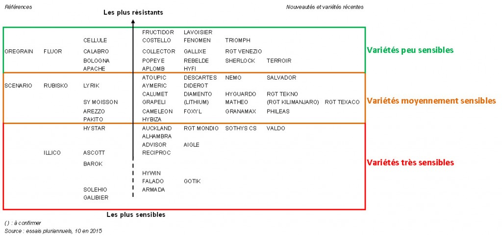 Cliquez sur l'image pour l'agrandir