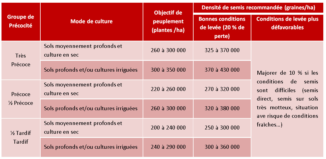 Cliquez sur l'image pour l'agrandir