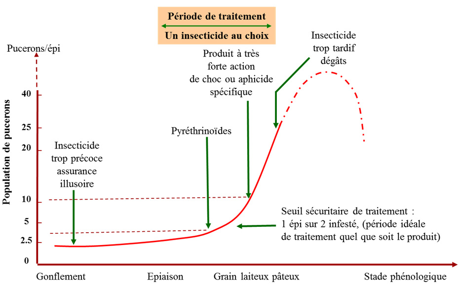 Cliquez sur l'image pour l'agrandir