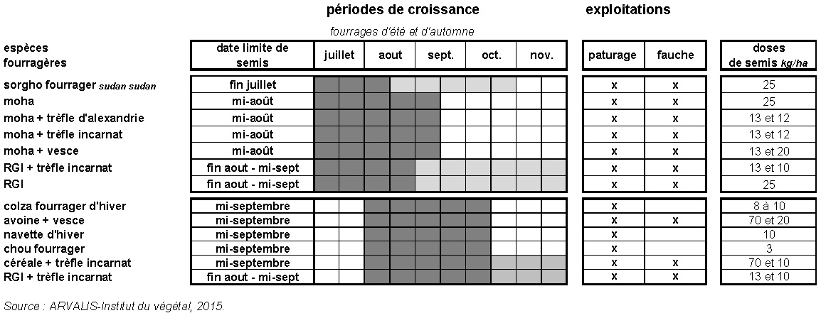 Semis de juillet