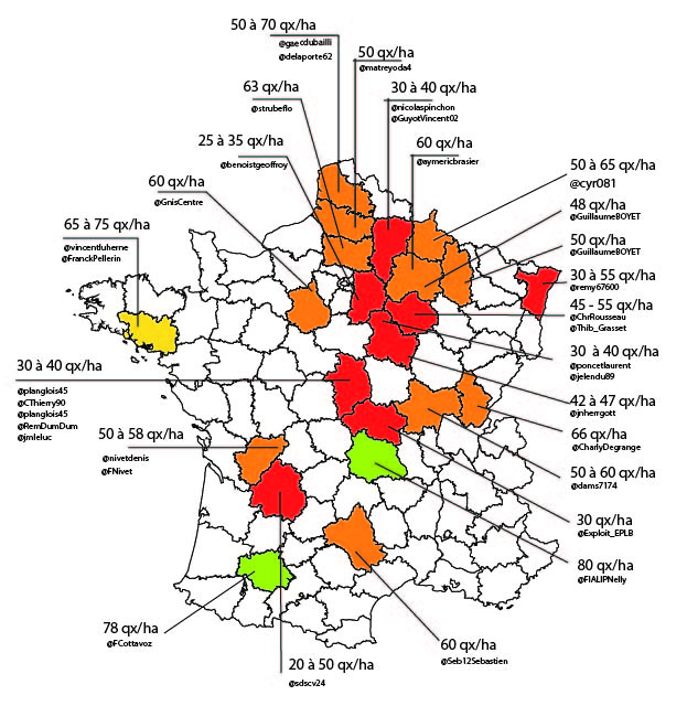 Les premières tendances : rendement blé tendre