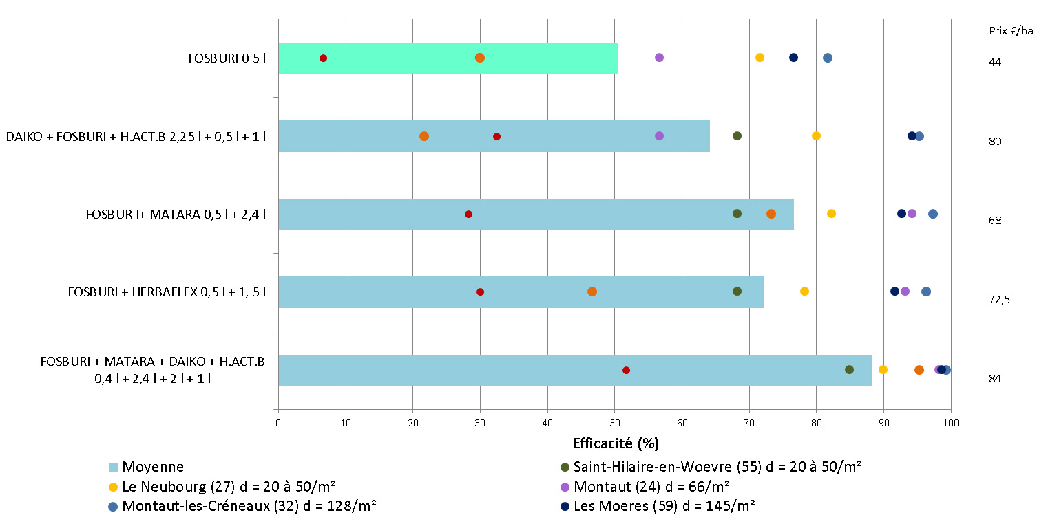 Cliquez sur l'image pour l'agrandir