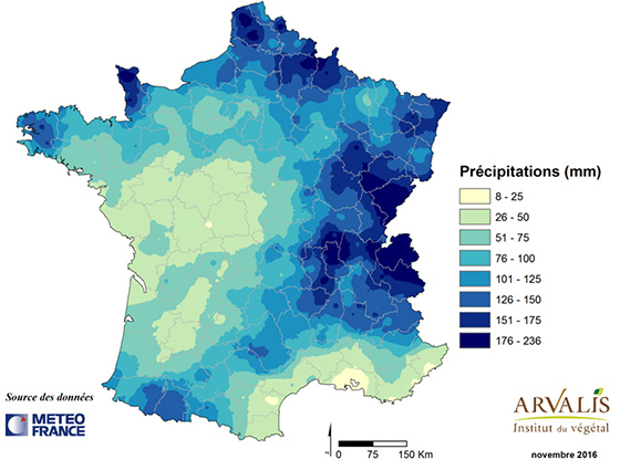 carte1_mais3957966778354457732