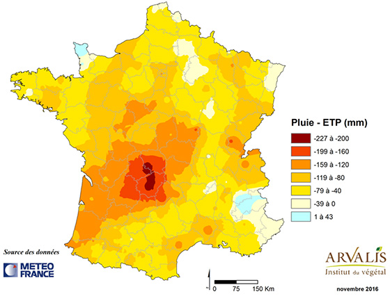 carte2_mais5602011086158422128